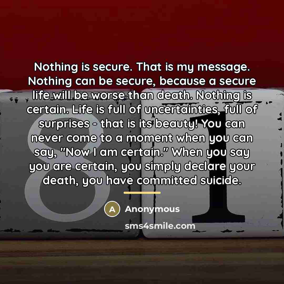 “Nothing is secure. That is my message. Nothing can be…” quote by Anonymous