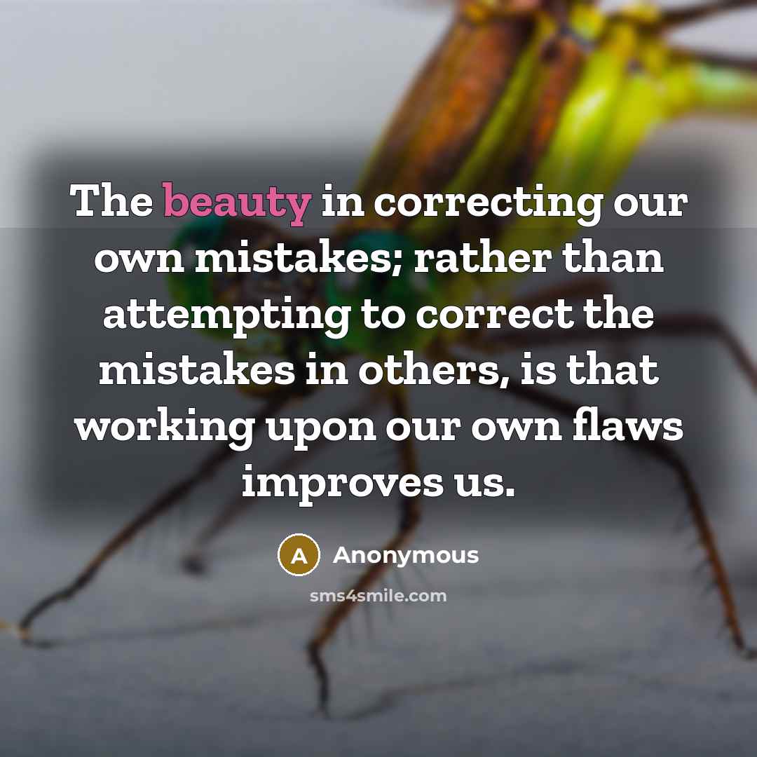 “The beauty in correcting our own mistakes; rather than attempting…” quote by Anonymous