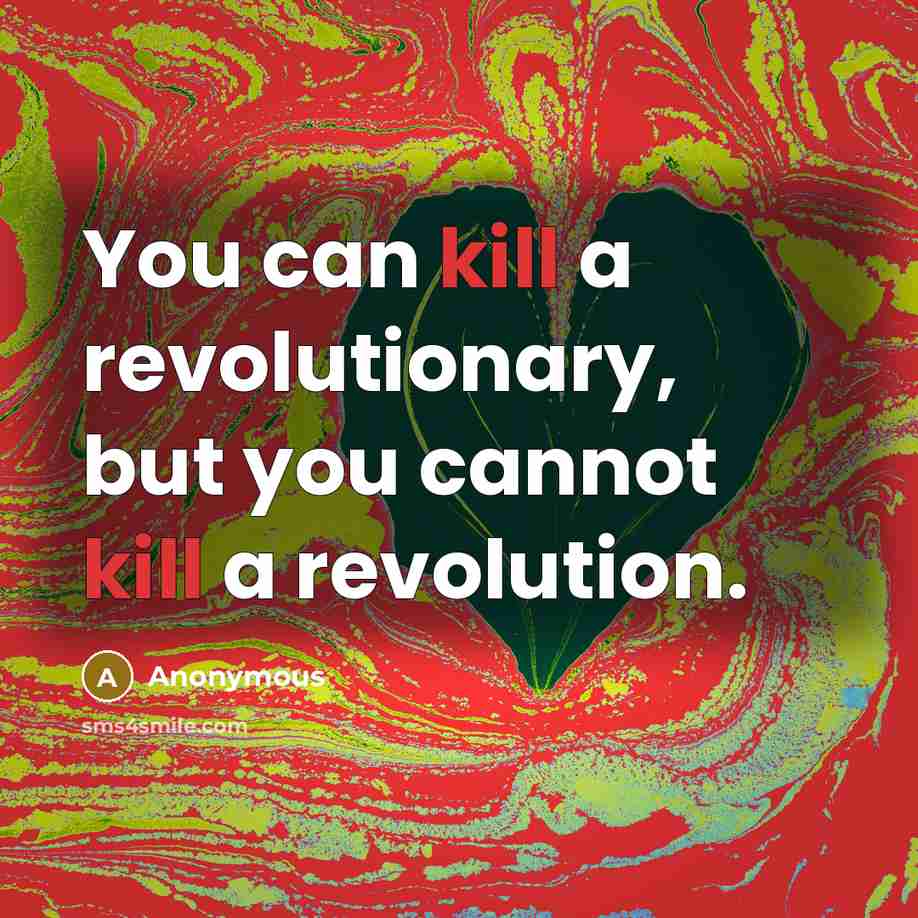“You can kill a revolutionary, but you cannot kill a…” quote by Anonymous