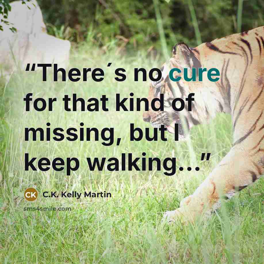 “There´s no cure for that kind of missing, but I keep walking...” quote by C.K. Kelly Martin