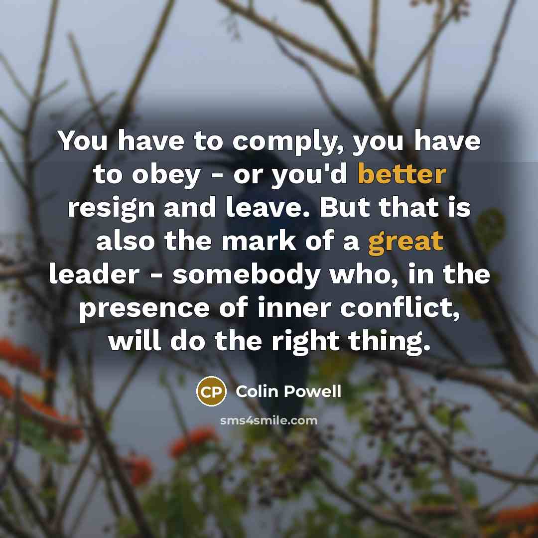 “You have to comply, you have to obey - or…” quote by Colin Powell