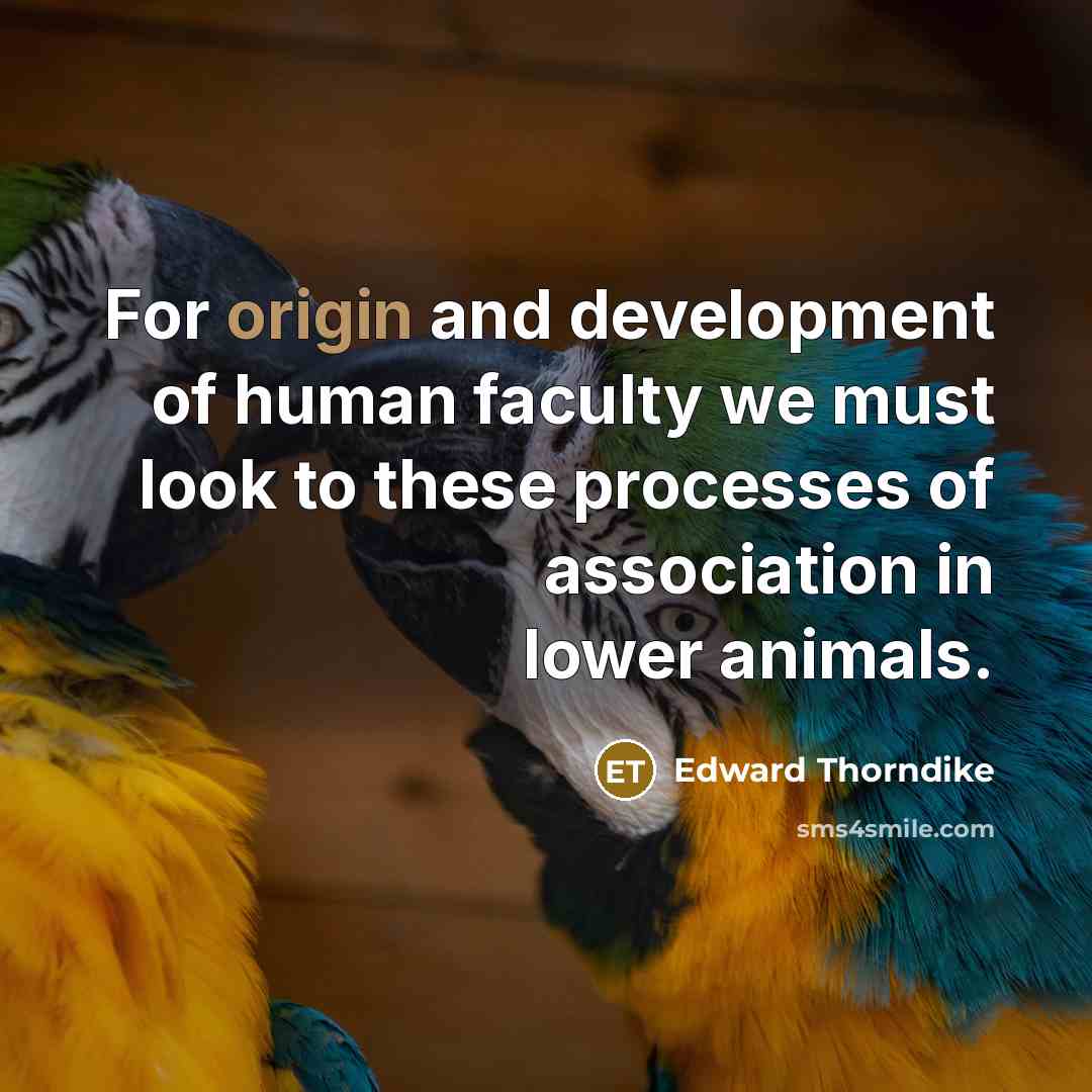 “For origin and development of human faculty we must look…” quote by Edward Thorndike