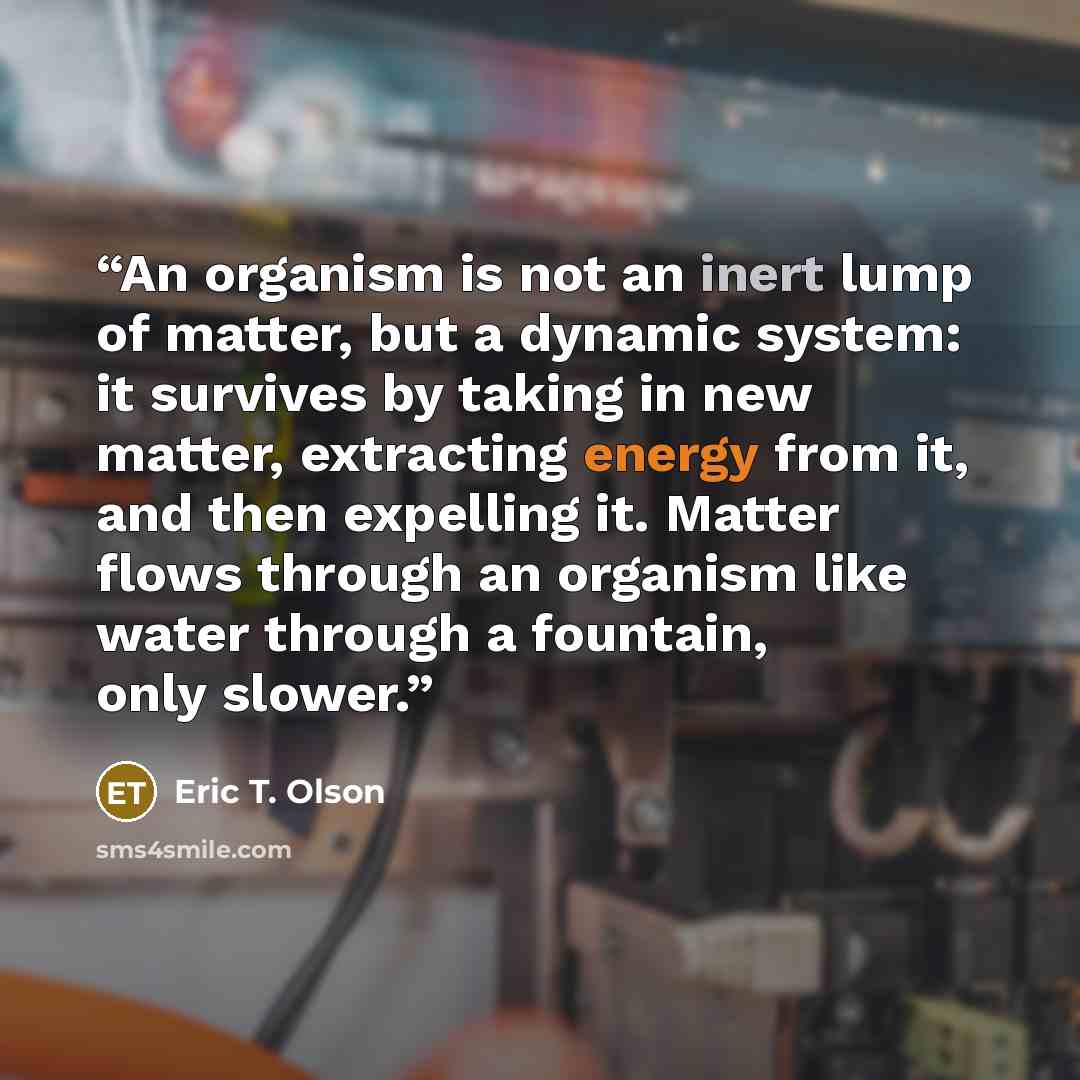 “An organism is not an inert lump of matter, but a dynamic system: it survives by taking in new matter, extracting energy from it, and then expelling it. Matter flows through an organism like water through a fountain, only slower.” quote by Eric T. Olson