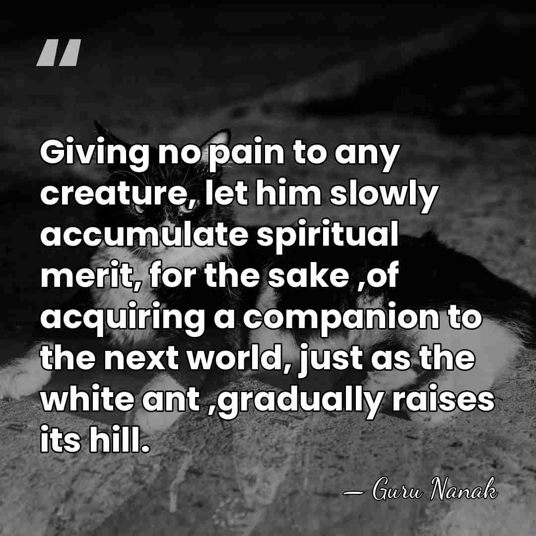 Giving no pain to any creature, let him slowly accumulate spiritual merit,&hellip; - Guru Nanak