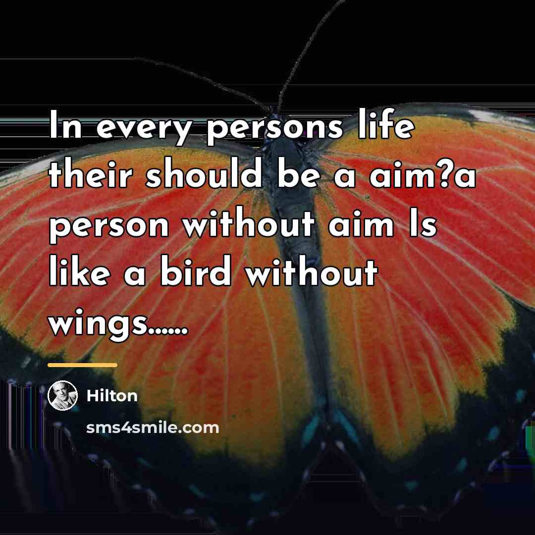“In every persons life their should be a aim?a person…” quote by Hilton
