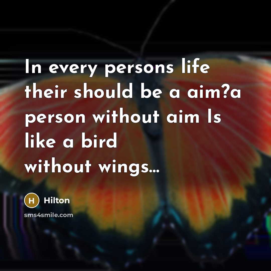 “In every persons life their should be a aim?a person without aim Is like a bird without wings…” quote by Hilton