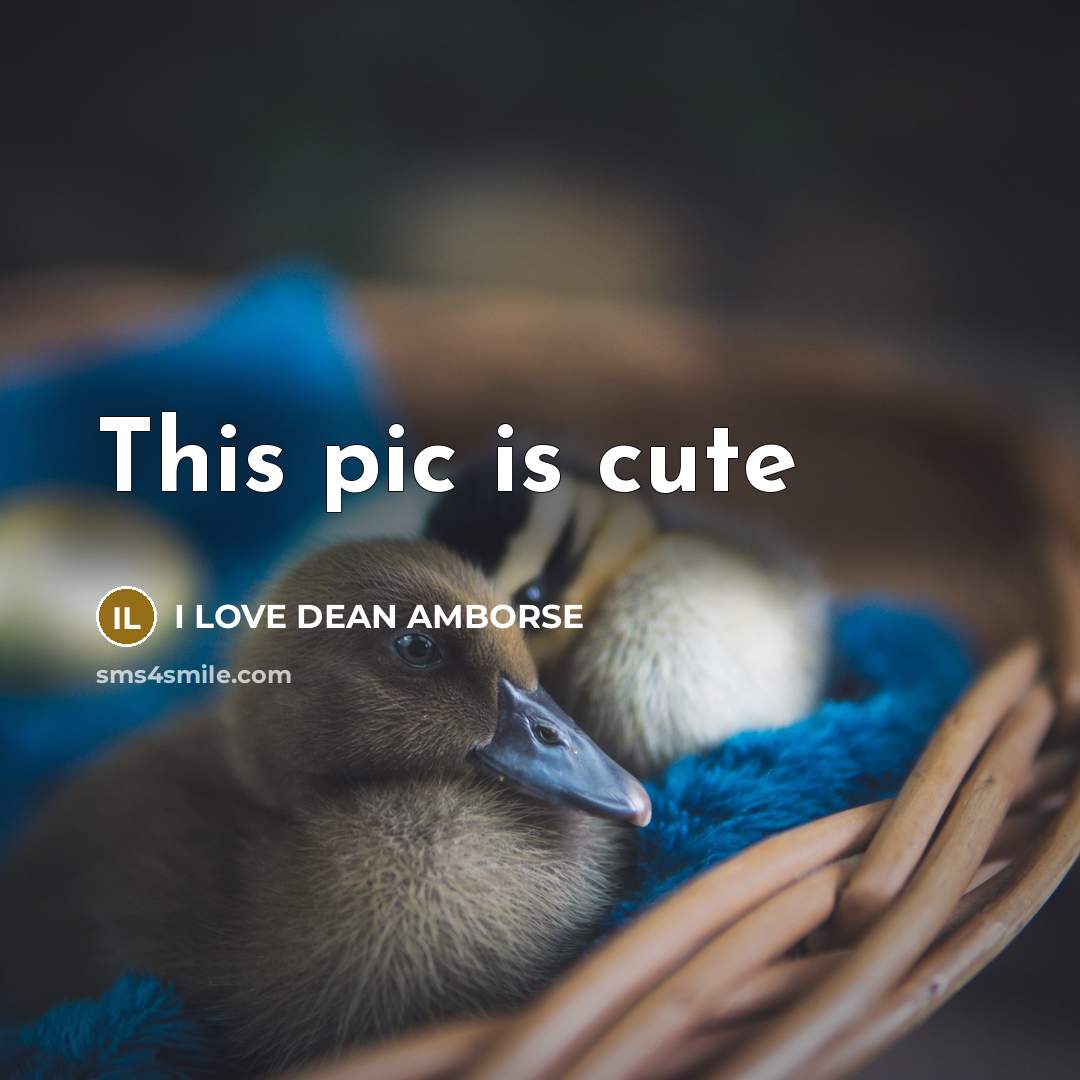 “This pic is cute…” quote by I LOVE DEAN AMBORSE