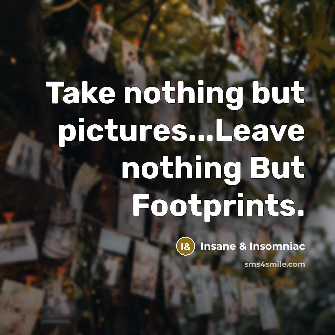“Take nothing but pictures...Leave nothing But Footprints.” quote by Insane & Insomniac