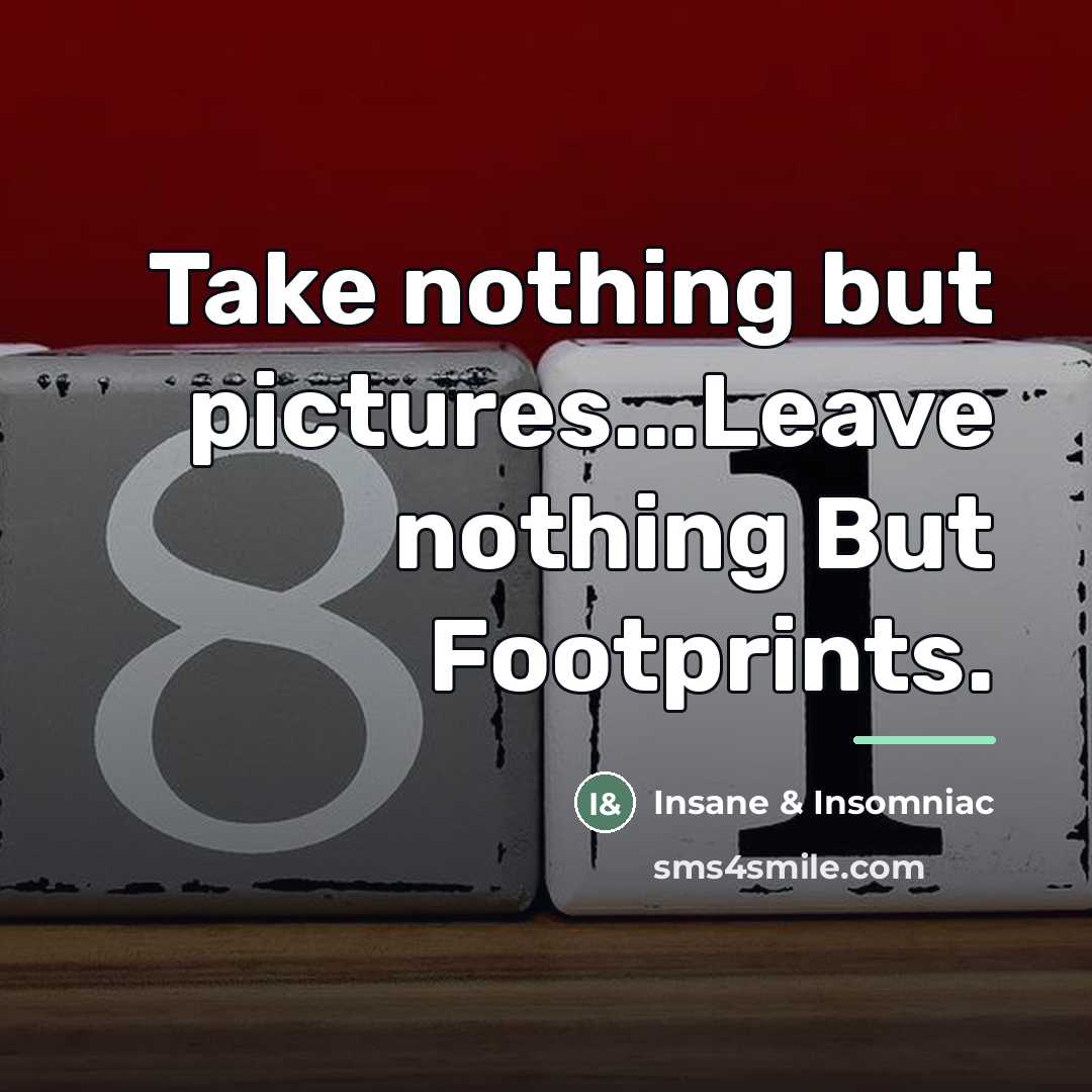 “Take nothing but pictures...Leave nothing But Footprints.…” quote by Insane & Insomniac