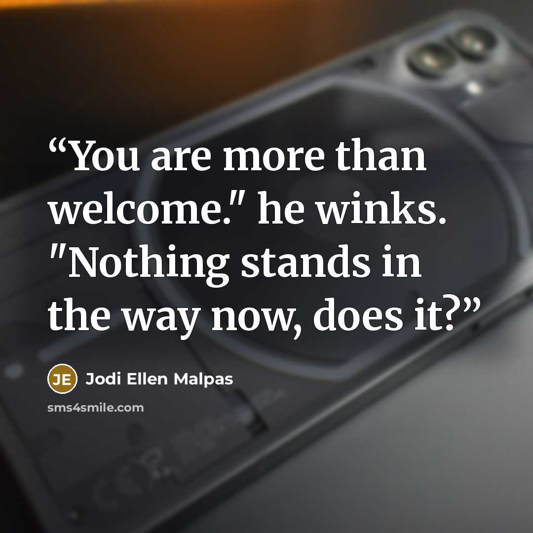 “You are more than welcome." he winks. "Nothing stands in the way now, does it?” quote by Jodi Ellen Malpas