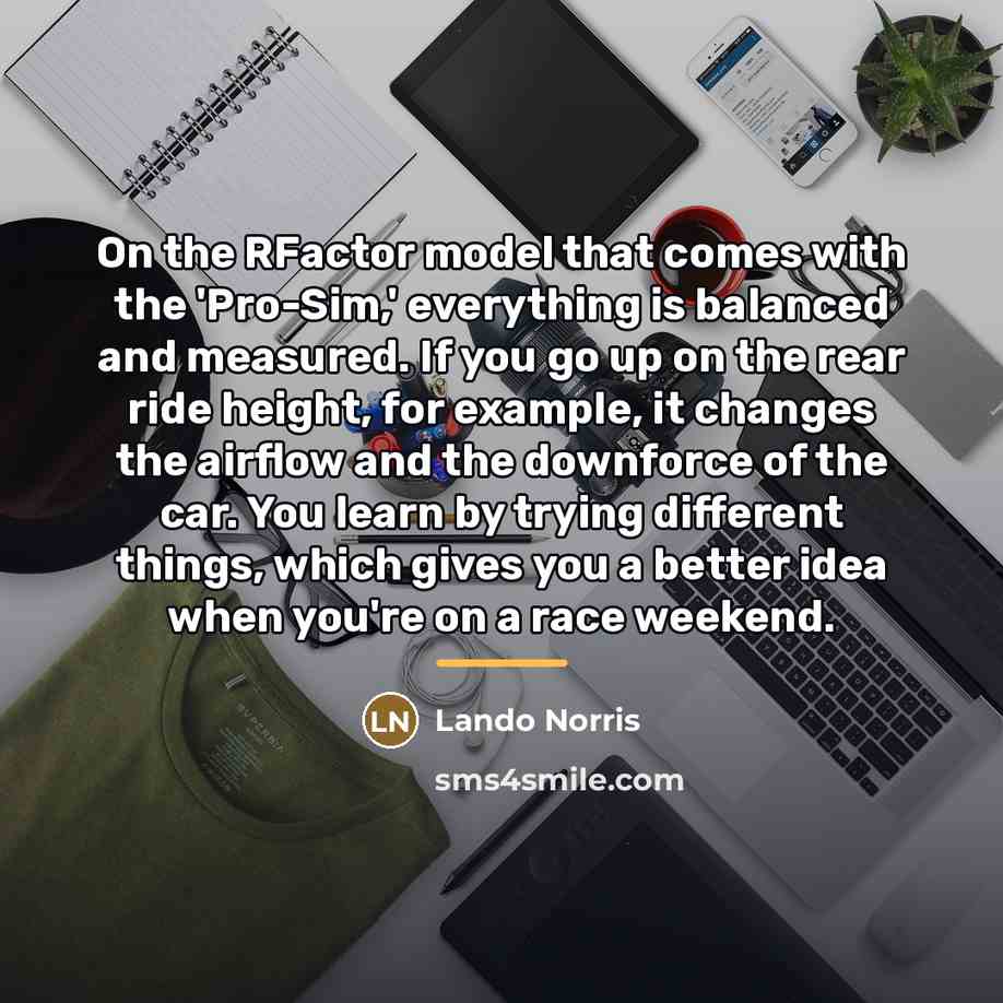 “On the RFactor model that comes with the 'Pro-Sim,' everything…” quote by Lando Norris