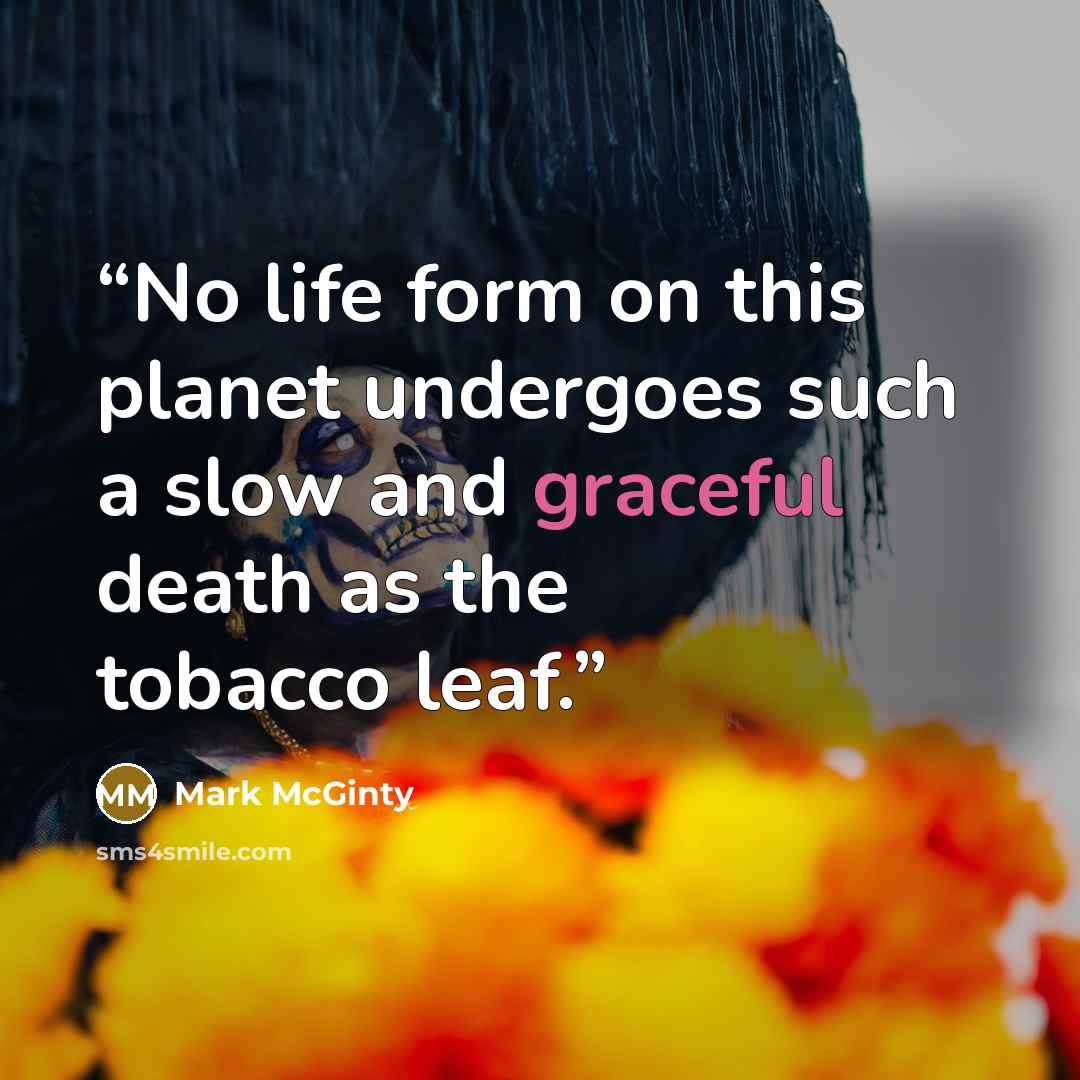 “No life form on this planet undergoes such a slow and graceful death as the tobacco leaf.” quote by Mark McGinty