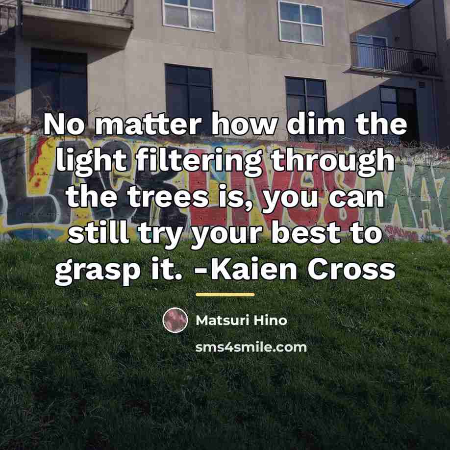 “No matter how dim the light filtering through the trees…” quote by Matsuri Hino