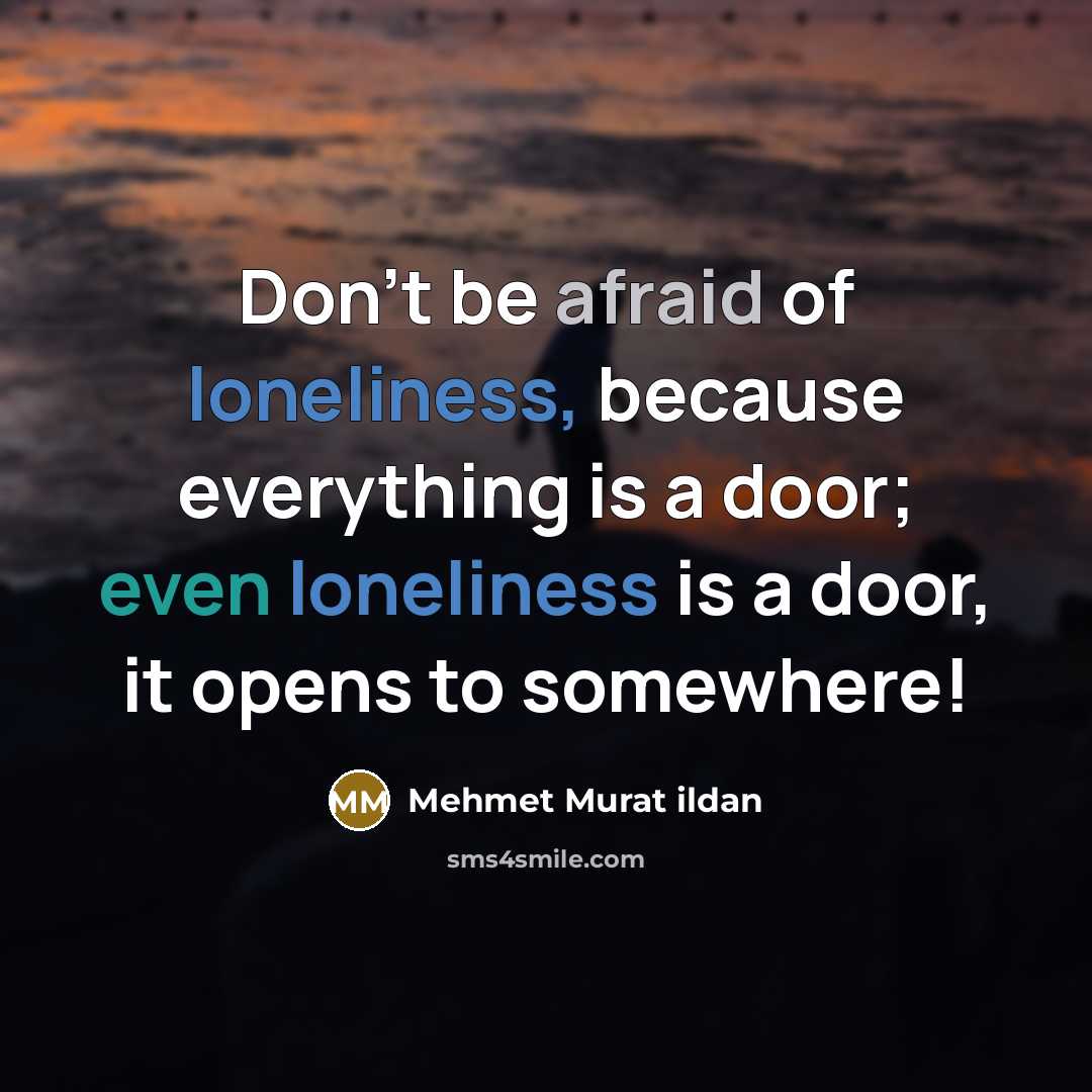 “Don't be afraid of loneliness, because everything is a door; even loneliness is a door, it opens to somewhere!” quote by Mehmet Murat Ildan