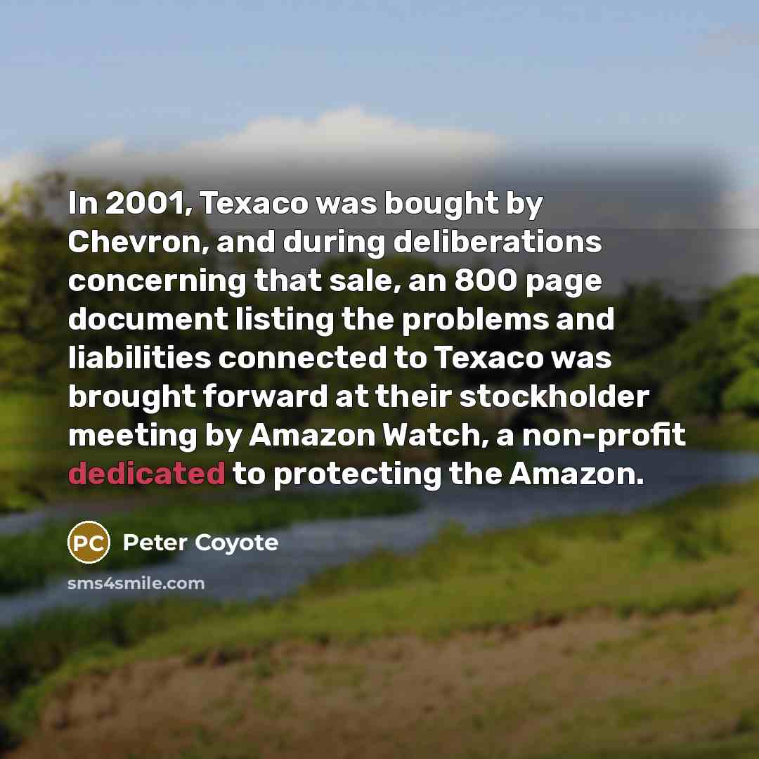 “In 2001, Texaco was bought by Chevron, and during deliberations…” quote by Peter Coyote