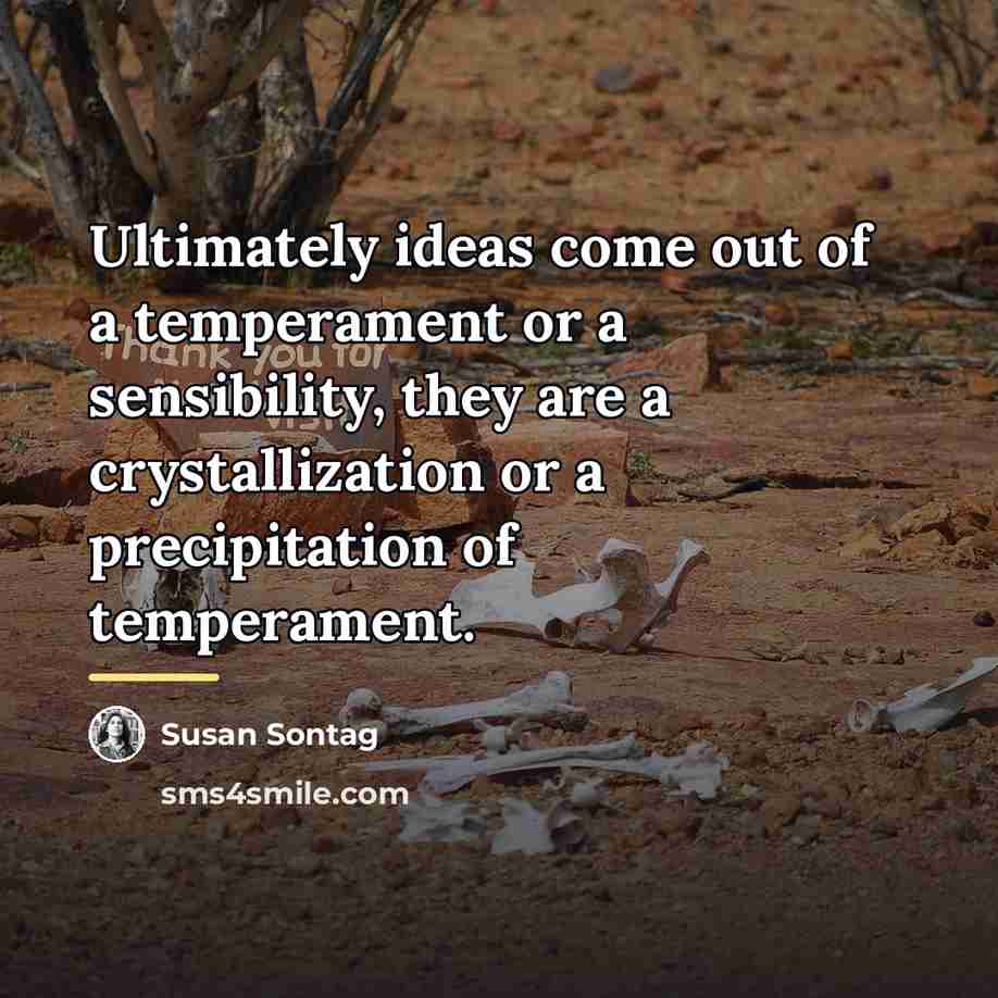 “Ultimately ideas come out of a temperament or a sensibility,…” quote by Susan Sontag
