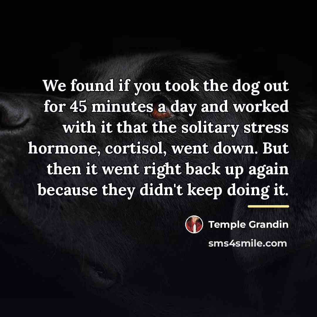 “We found if you took the dog out for 45…” quote by Temple Grandin
