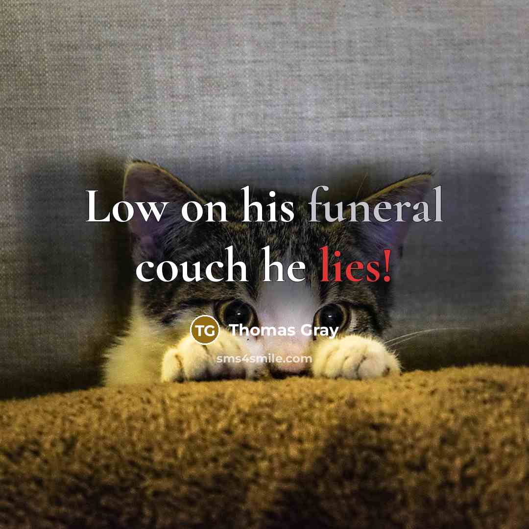 “Low on his funeral couch he lies!…” quote by Thomas Gray