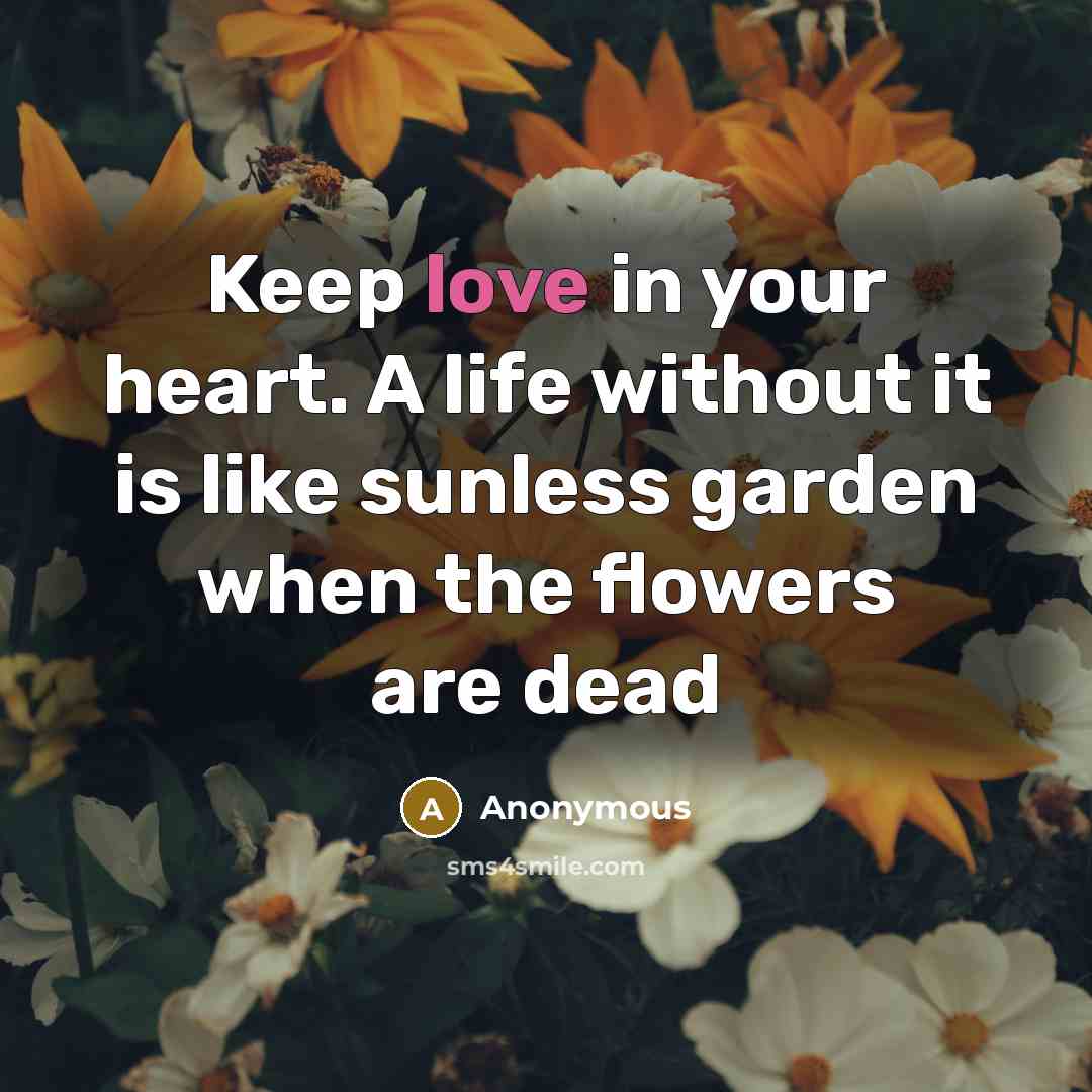 “Keep love in your heart. A life without it is…” quote by Anonymous