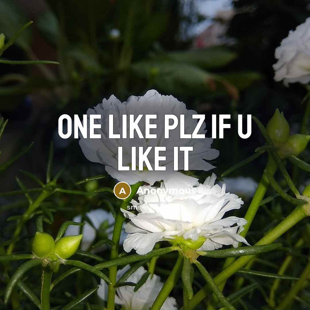 “One like plz if u like it” quote by Anonymous