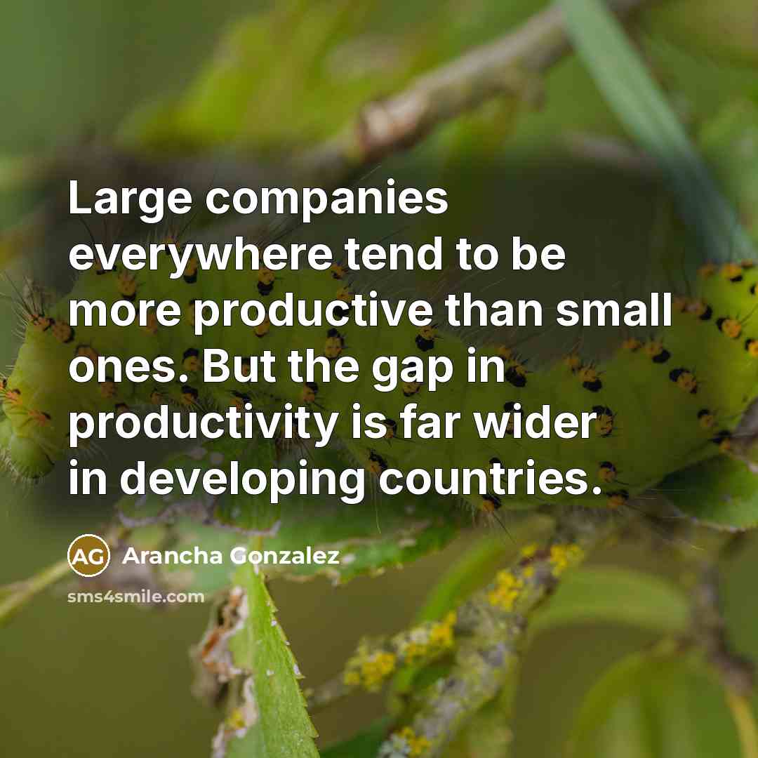 “Large companies everywhere tend to be more productive than small…” quote by Arancha Gonzalez