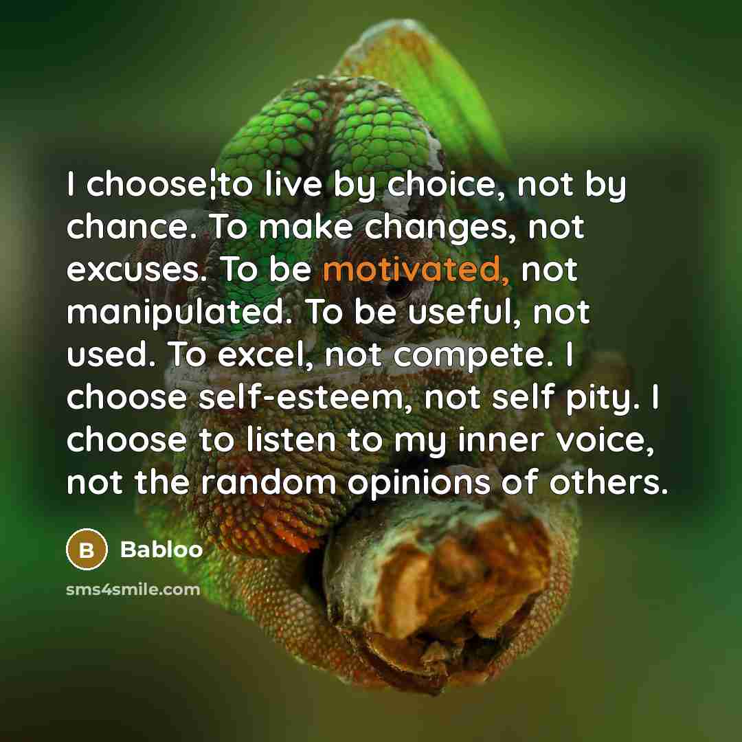 “I choose¦to live by choice, not by chance. To make…” quote by Babloo