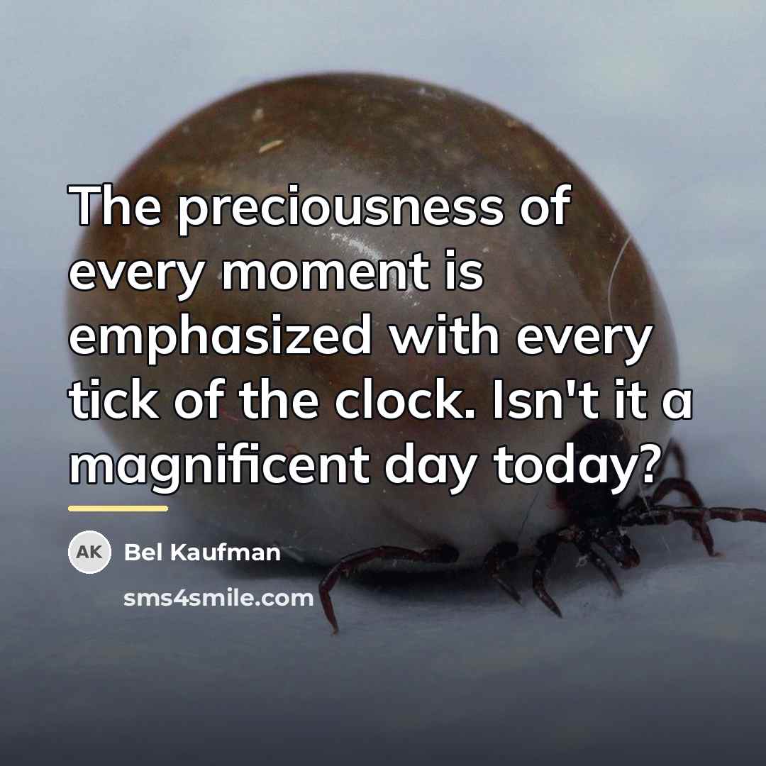 “The preciousness of every moment is emphasized with every tick…” quote by Bel Kaufman