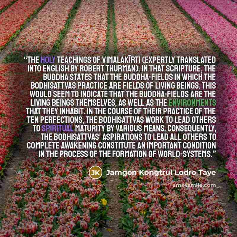 “The Holy Teachings of Vimalakīrti (expertly translated into English by Robert Thurman). In that scripture, the Buddha states that the buddha-fields in which the bodhisattvas practice are fields of living beings. This would seem to indicate that the buddha-fields are the living beings themselves…” quote by Jamgon Kongtrul Lodro Taye