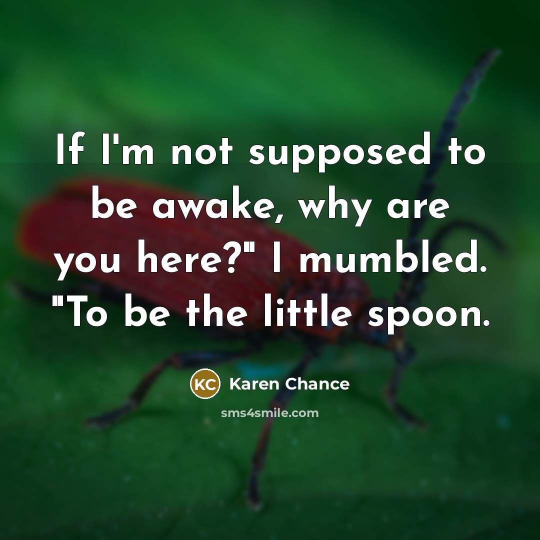 “If I'm not supposed to be awake, why are you…” quote by Karen Chance