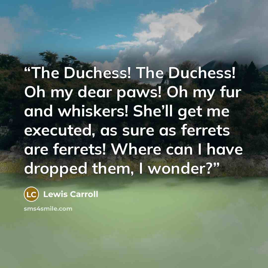 “The Duchess! The Duchess! Oh my dear paws! Oh my fur and whiskers! She’ll get me executed, as sure as ferrets are ferrets! Where can I have dropped them, I wonder?” quote by Lewis Carroll