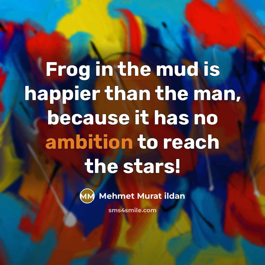 “Frog in the mud is happier than the man, because…” quote by Mehmet Murat Ildan