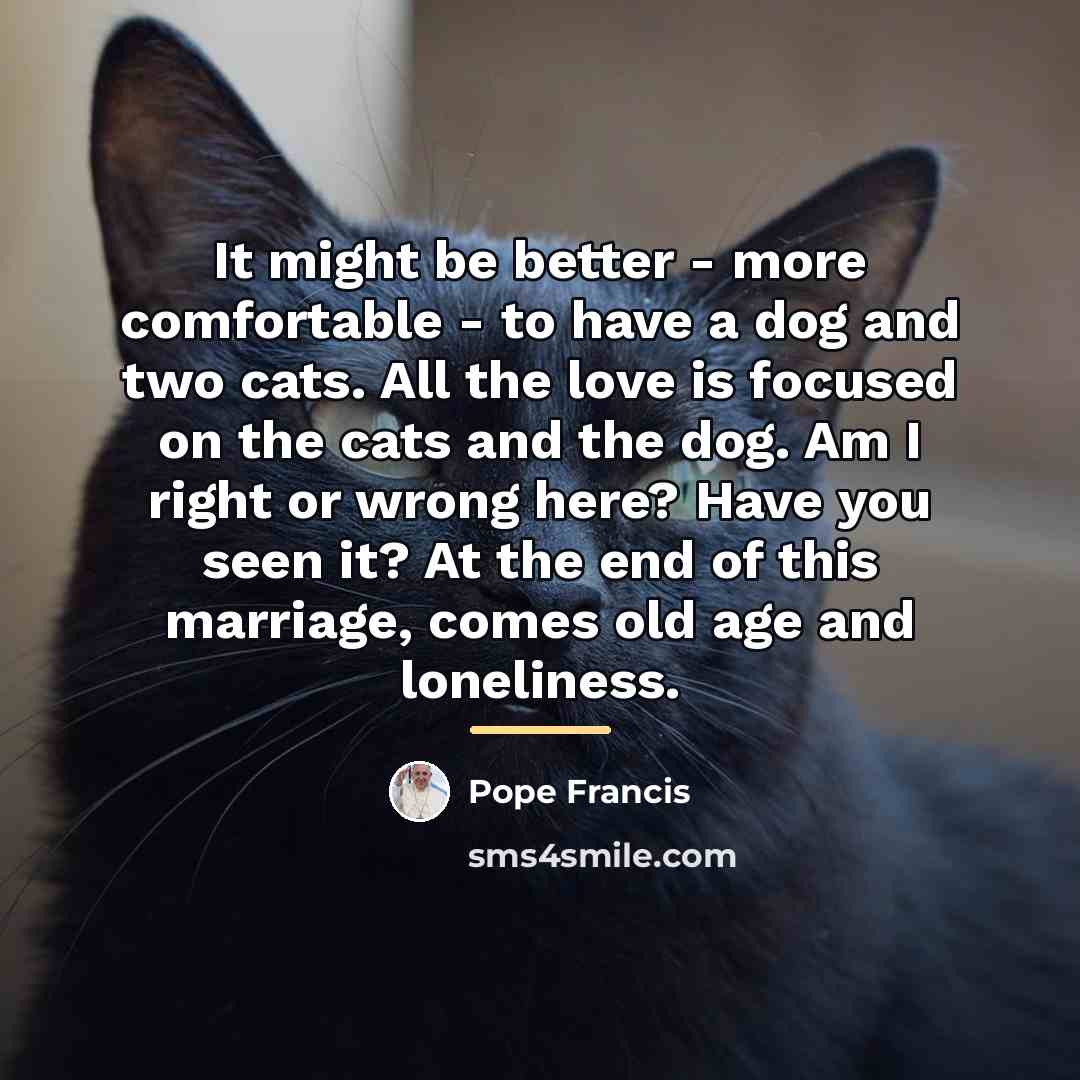 “It might be better - more comfortable - to have…” quote by Pope Francis