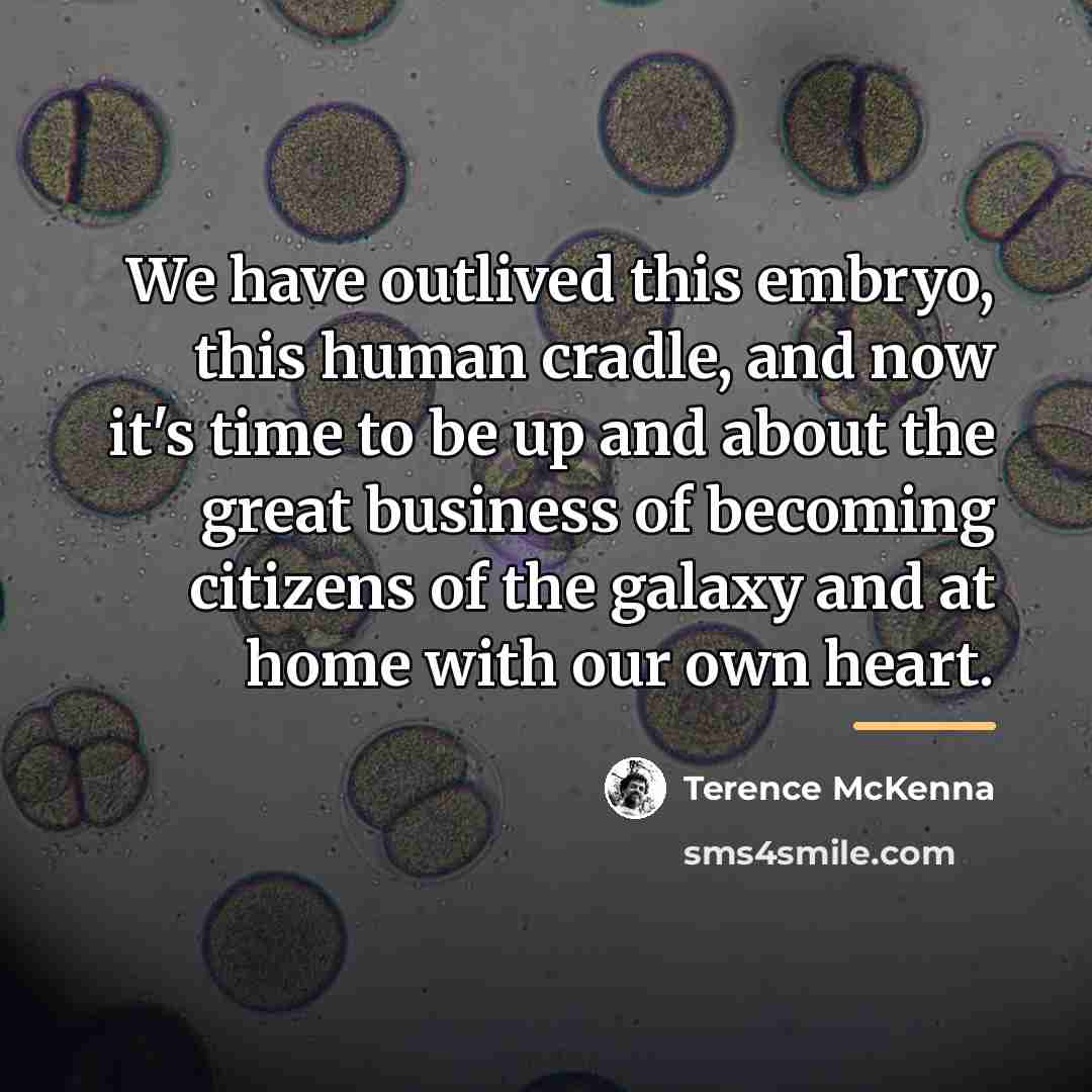 “We have outlived this embryo, this human cradle, and now…” quote by Terence McKenna