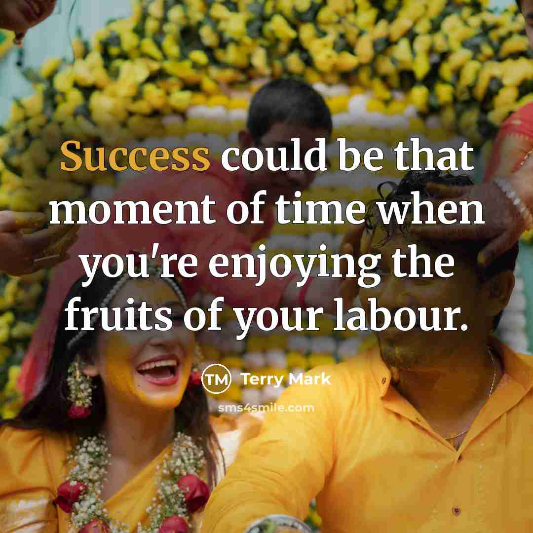 “Success could be that moment of time when you're enjoying…” quote by Terry Mark