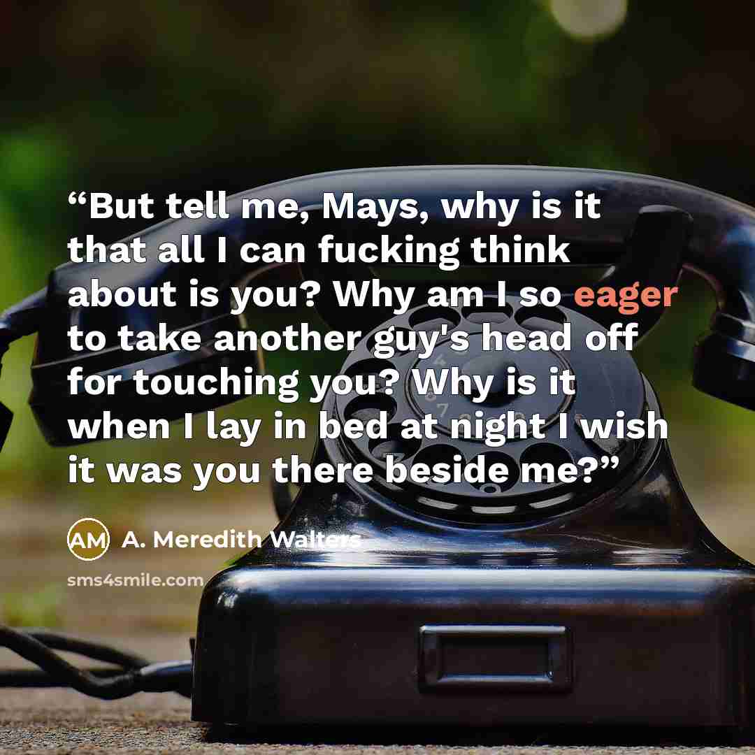 “But tell me, Mays, why is it that all I can fucking think about is you? Why am I so eager to take another guy's head off for touching you? Why is it when I lay in bed at night I wish it was you there beside me?” quote by A. Meredith Walters