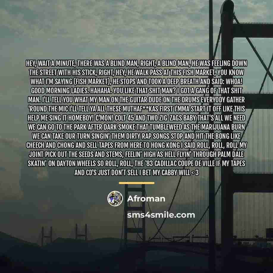 “Hey, wait a minute, There was a blind man, right,…” quote by Afroman
