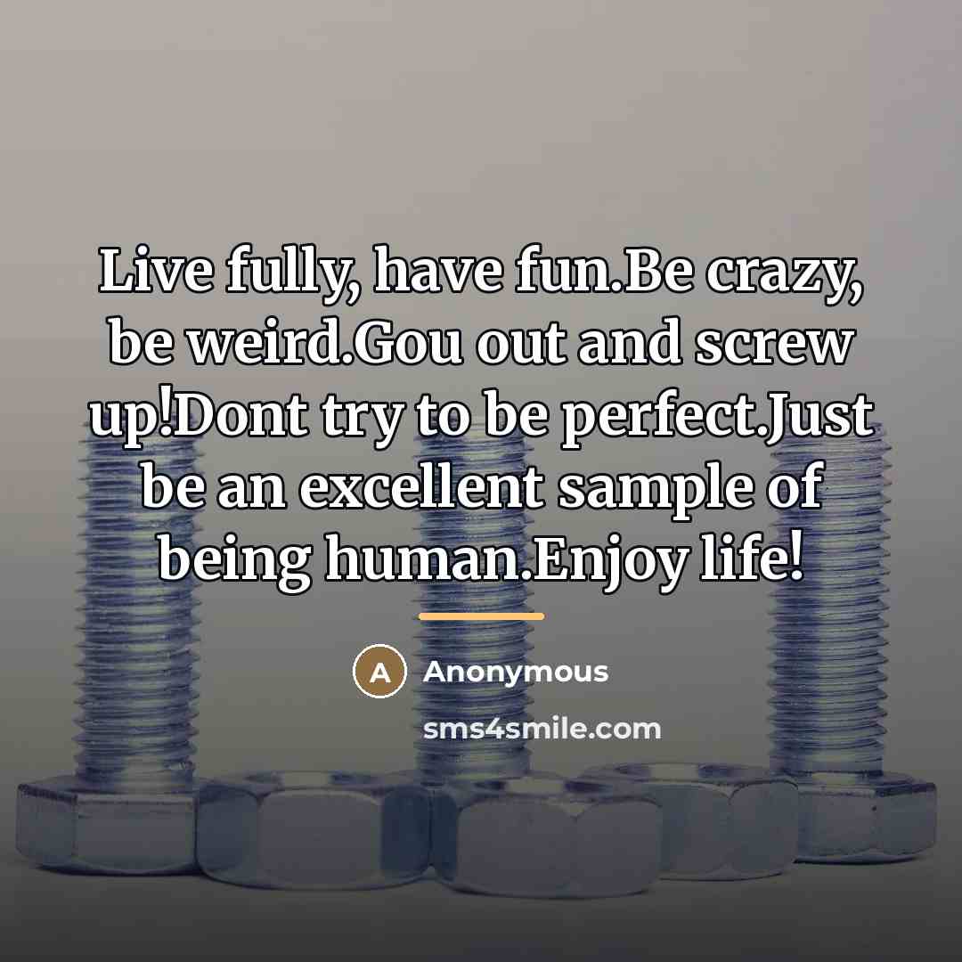 “Live fully, have fun.Be crazy, be weird.Gou out and screw…” quote by Anonymous