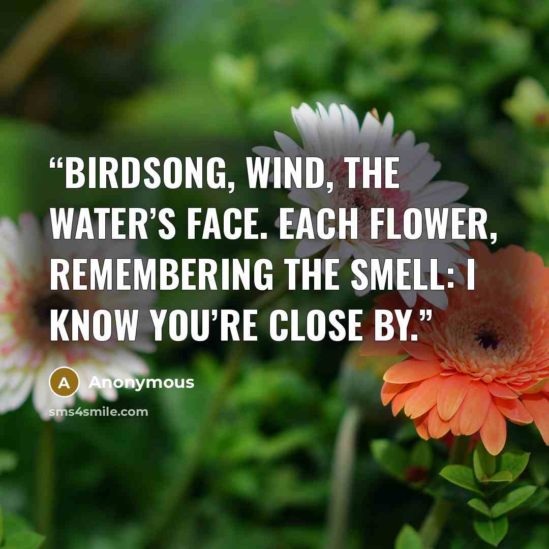 “Birdsong, wind, the water’s face. Each flower, remembering the smell: I know you’re close by.” quote by Anonymous
