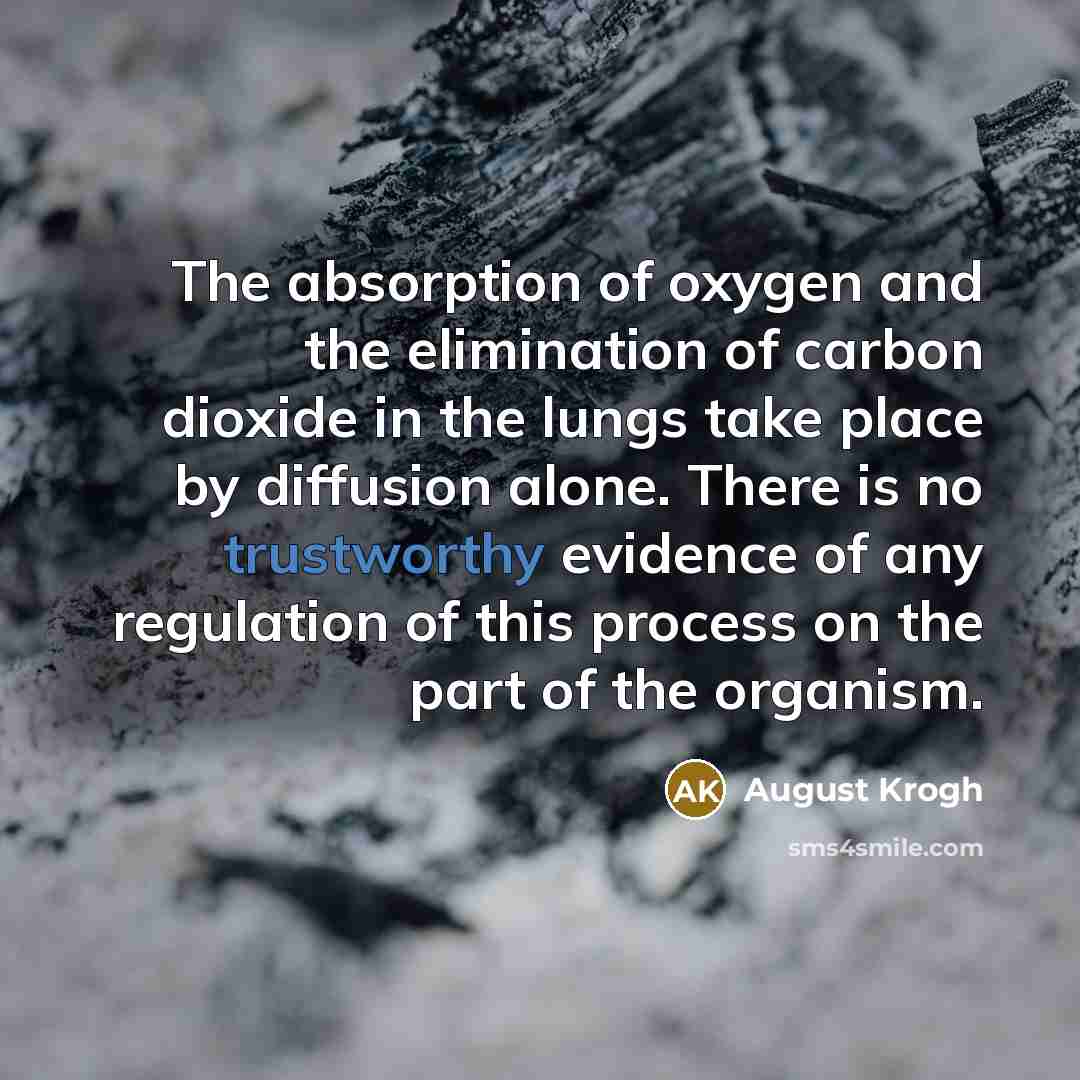 “The absorption of oxygen and the elimination of carbon dioxide…” quote by August Krogh