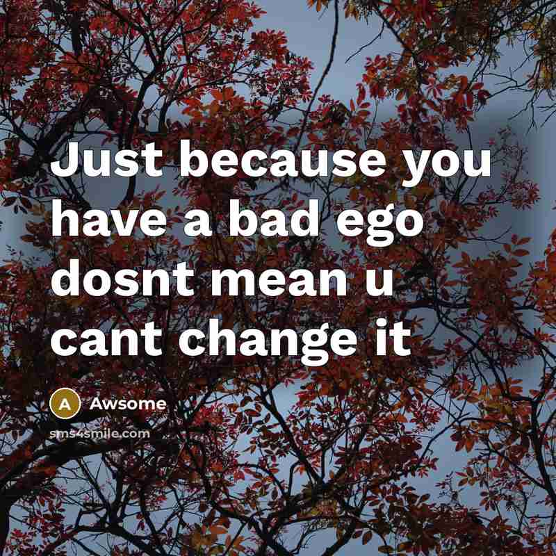 “Just because you have a bad ego dosnt mean u cant change it” quote by Awsome