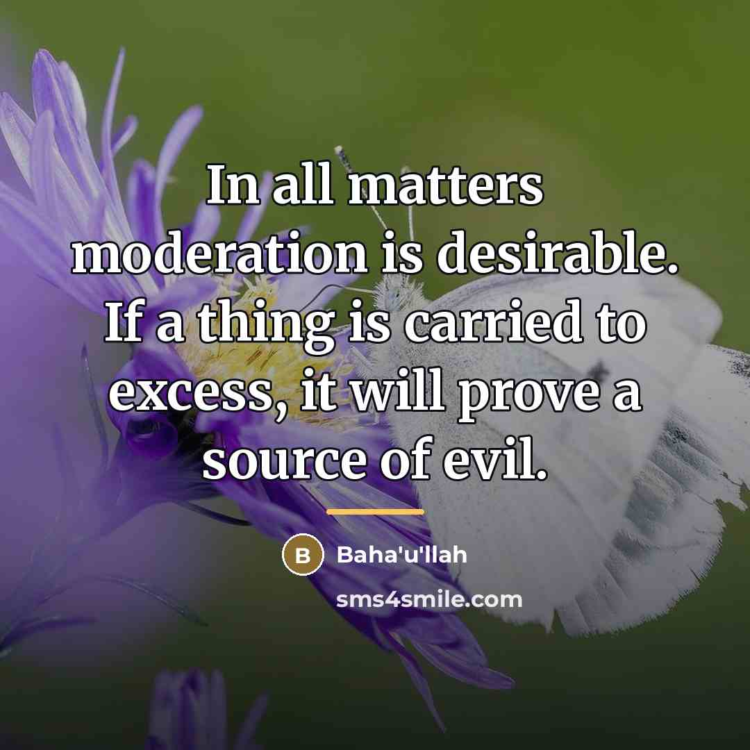 “In all matters moderation is desirable. If a thing is…” quote by Bahá'u'lláh