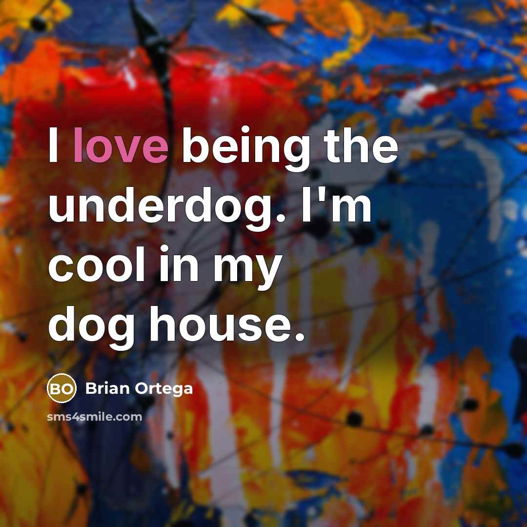 “I love being the underdog. I'm cool in my dog…” quote by Brian Ortega
