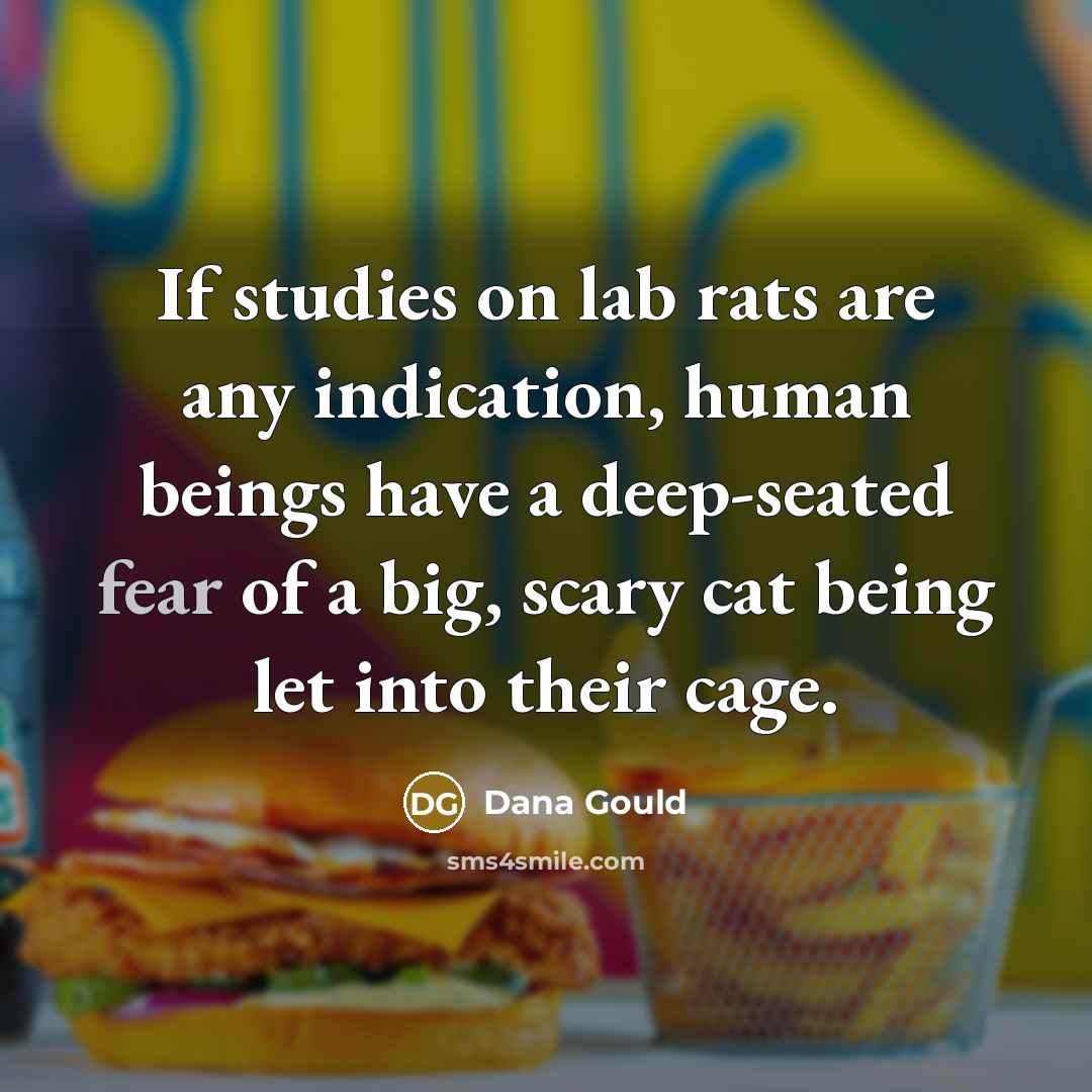 “If studies on lab rats are any indication, human beings…” quote by Dana Gould