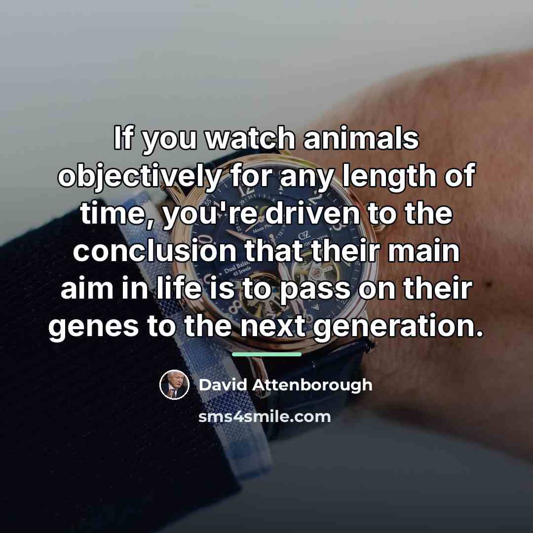 “If you watch animals objectively for any length of time,…” quote by David Attenborough