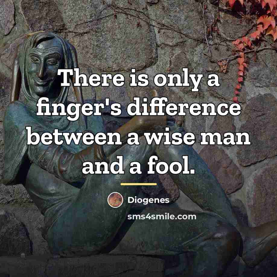 “There is only a finger's difference between a wise man…” quote by Diogenes