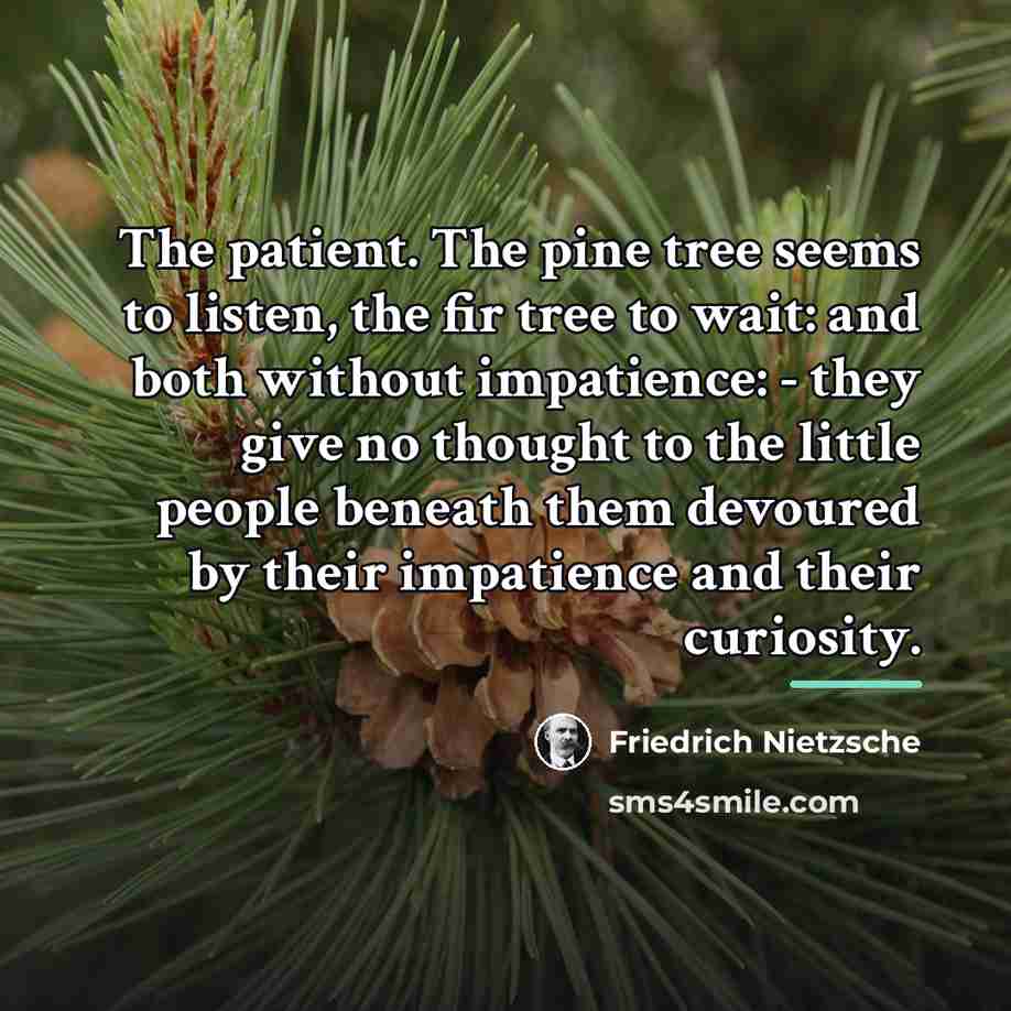 “The patient. The pine tree seems to listen, the fir…” quote by Friedrich Nietzsche