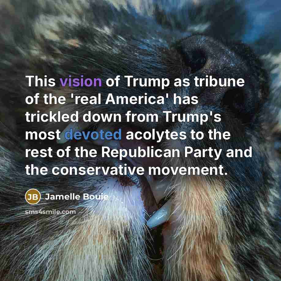 “This vision of Trump as tribune of the 'real America'…” quote by Jamelle Bouie