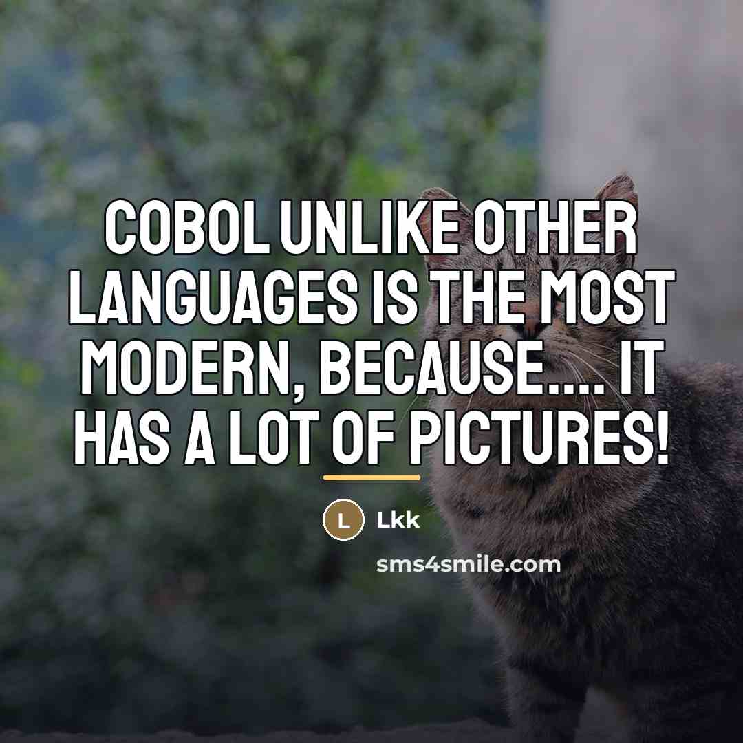“COBOL unlike other languages is the most modern, because.... it…” quote by Lkk