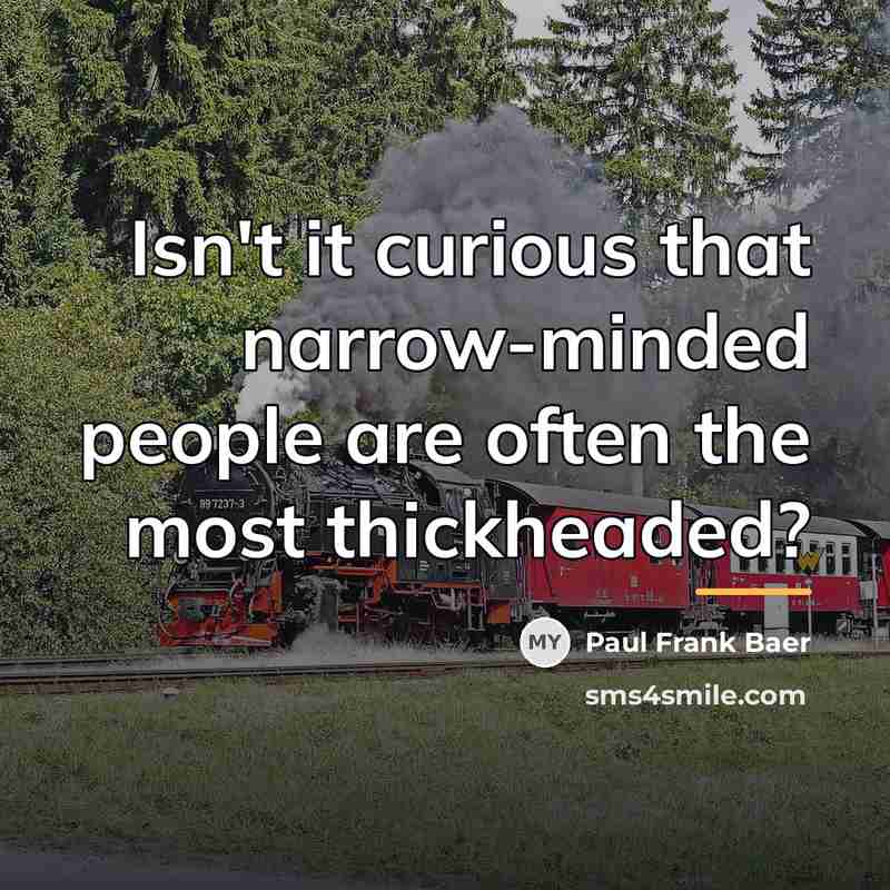 “Isn't it curious that narrow-minded people are often the most…” quote by Paul Frank Baer