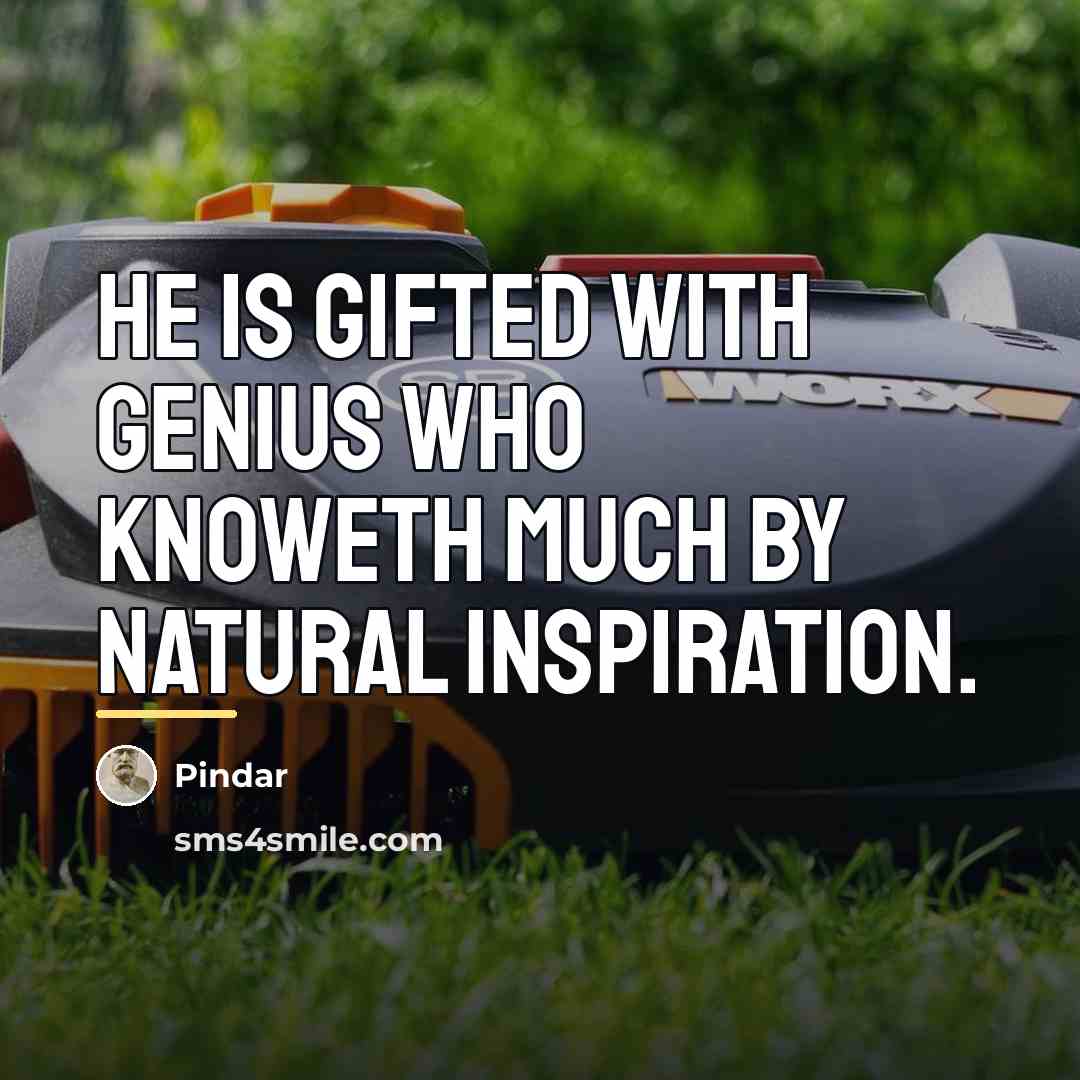 “He is gifted with genius who knoweth much by natural…” quote by Pindar